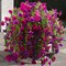 2 Pcs Look Real Artificial Flowers for Outdoors Artificial Hanging Flowers for Outdoors, UV Resistant Fake Hanging Plants Silk Petunia Faux Flowers for Porch Yard Spring Decor